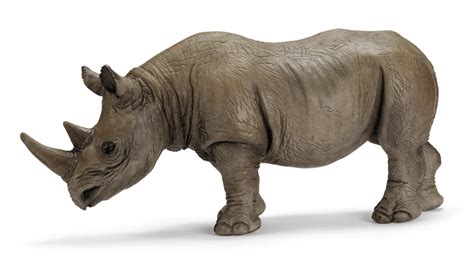 Schleich African Black Rhino | Schleich, Rhino, Animal figurines