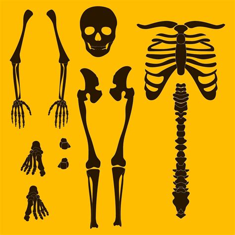 Halloween Skeleton Template - 15 Free PDF Printables | Printablee