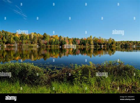 Fall colors trees reflecting on lake Stock Photo - Alamy