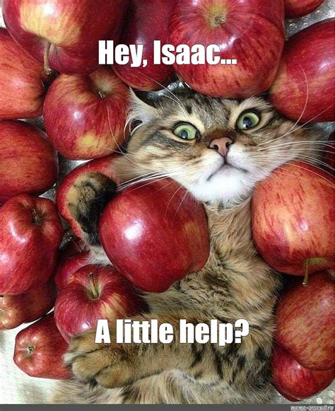 Create meme "cat, Apple" - Pictures - Meme-arsenal.com