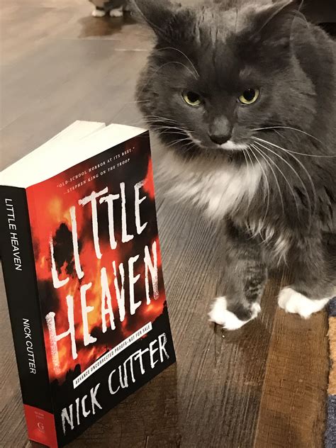 Book Review: Little Heaven by Nick Cutter - i've read this