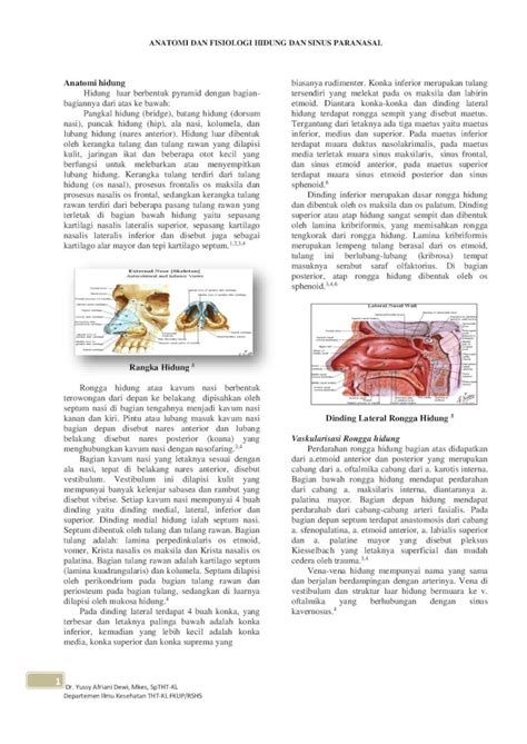 (PDF) ANATOMI DAN FISIOLOGI HIDUNG DAN SINUS PARANASAL...Fisiologi Hidung Berdasarkan teori ...