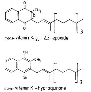 Vitamin K3 | Cyberlipid