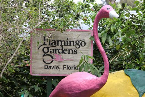 Florida Best Tourist Attractions and Places to Visit: Flamingo Gardens in South Florida Fla ...