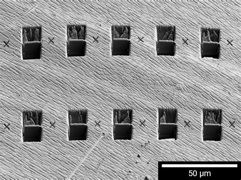 Streamline TEM Sample Preparation with Automated Solutions | TESCAN FIB-SEM