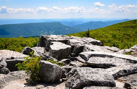 Bear Rocks Preserve Stock Photo - Download Image Now - iStock