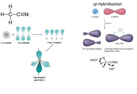 What is the hybridization of each carbon atom in acetonitrile?