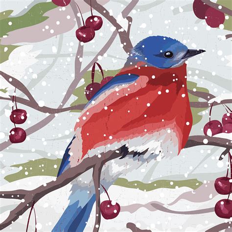 Winter Birds on Behance