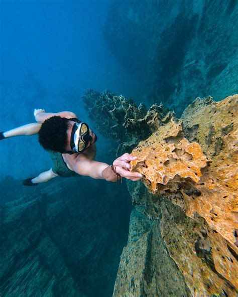 📍Barracuda Lake, Coron, Palawan #coron #barracudalake #freediving #diving #philippines | Palawan ...