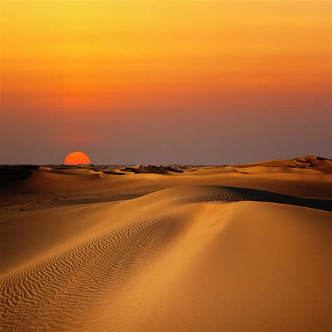 Sand Dune Sunset by Cinoby