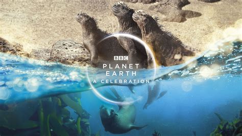 Planet Earth: A Celebration: What to expect from tonight's documentary ...