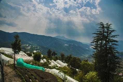 Mountain View Resort Rooms: Pictures & Reviews - Tripadvisor