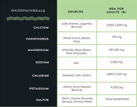 Macronutrients vs Micronutrients: The Complete Guide