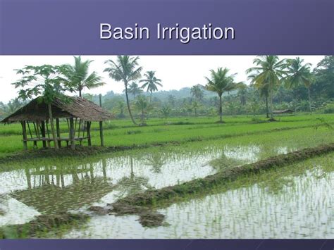 PPT - Irrigation and Engineering Design PowerPoint Presentation, free download - ID:3100501