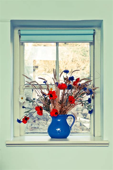 Jug of flowers Photograph by Tom Gowanlock - Fine Art America