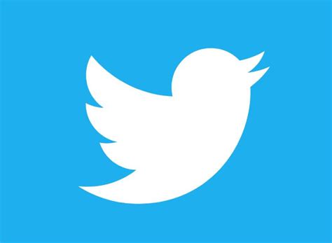 blue bird no more: twitter becomes X as elon musk introduces rebranded ...