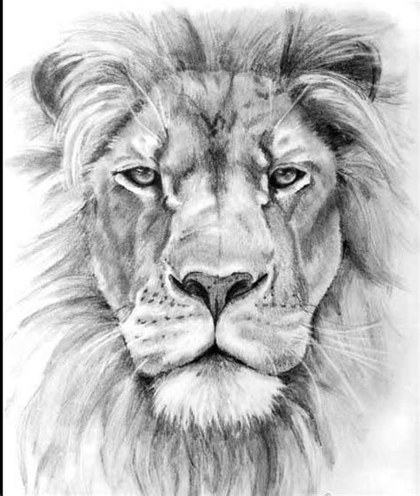 45 best Simple Lion Head Tattoo Art images on Pinterest | Lion head ...