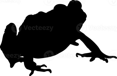 frog silhouette side view 23265756 PNG