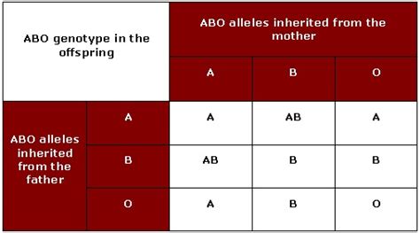 The ABO blood group - Blood Groups and Red Cell Antigens - NCBI Bookshelf