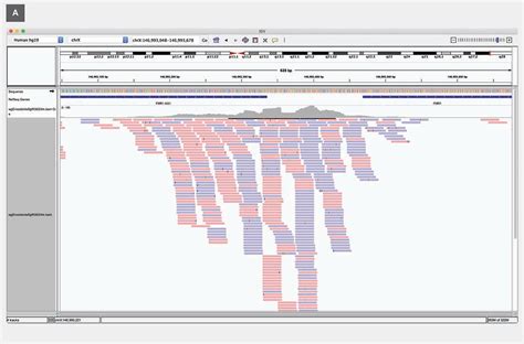 NGS Data Analysis for Illumina Platform—Overview and Workflow | Thermo Fisher Scientific - JP