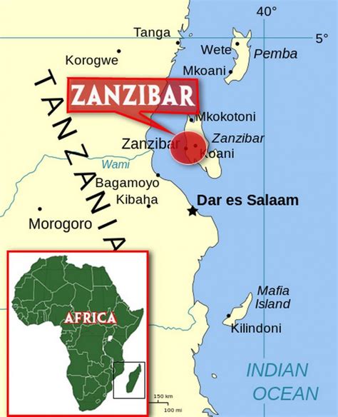 ZANZIBAR: Muslim savages throw acid in the faces of two British Jewish ...