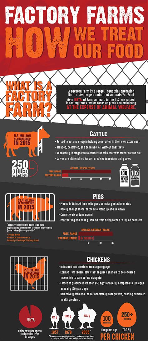 Factory Farms Infographic | Behance