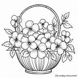 Flower Basket Coloring Pages  Free & Printable sketch template