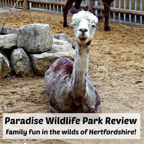 Paradise Wildlife Park Review | The Parent Game