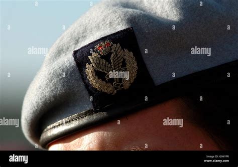 16 Air Assault Brigade Stock Photo - Alamy