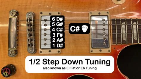 The Best Online Guitar Tuner - Half Step Down / Eb Tuning (D# G# C# F# A# D#) w/ Ryan Roxie ...