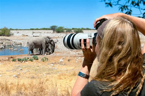 How Safari Photography Can Help Save Wildlife - Coleman Concierge