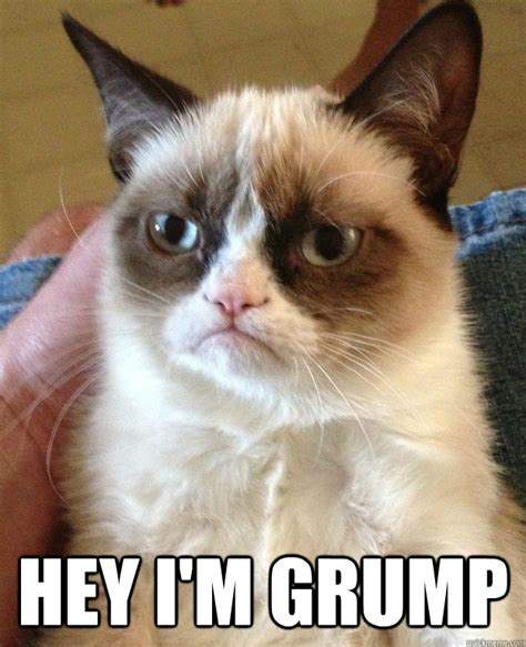 Hey I'm Grump - Grumpy Cat - quickmeme