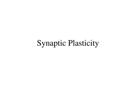 PPT - Synaptic Plasticity PowerPoint Presentation, free download - ID:6690266