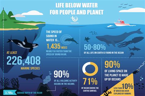 Importance of Our Oceans and Issues That Affect Them