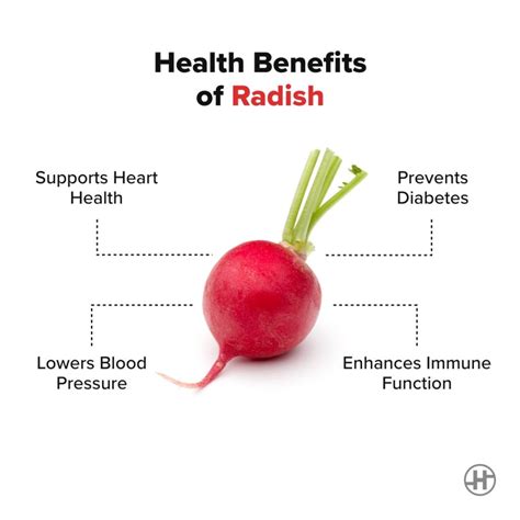 Radish - Benefits, Nutrition Value, & Recipes - HealthifyMe