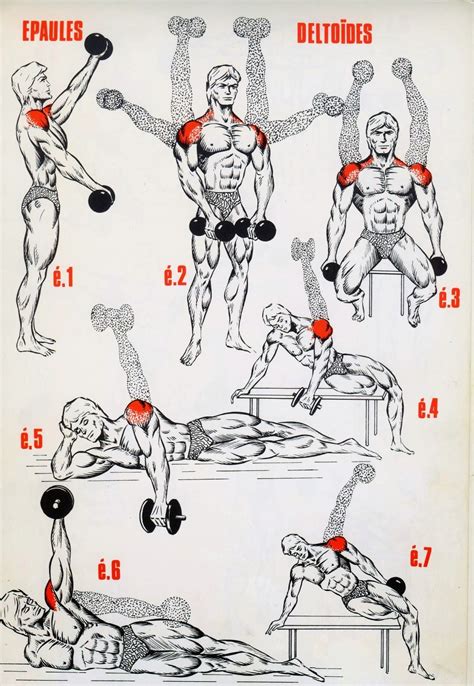 Muscle & Fitness : Programme musculation épaules | Shoulder workout, Muscle fitness, Fitness ...