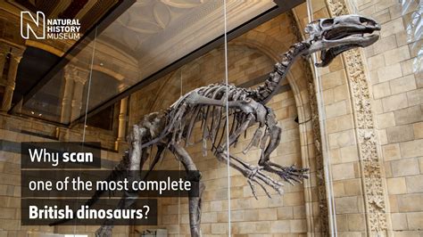 √ The Natural History Museum Dinosaurs - Alumn Photograph