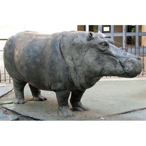 Hippo statue for you | Animal Sculpture | hippo sculpture