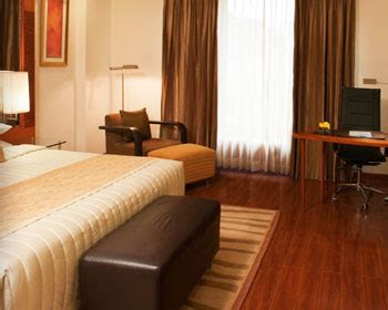 Radisson Hotel New Delhi - Indian Holiday