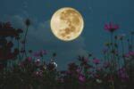 Your Full Moon Calendar and Dates for 2023 and 2024 | The Pagan Grimoire