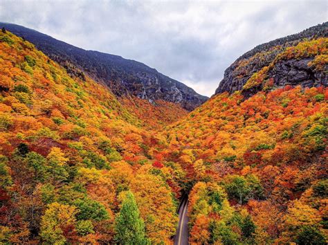 a winding road surrounded by colorful trees in the mountains