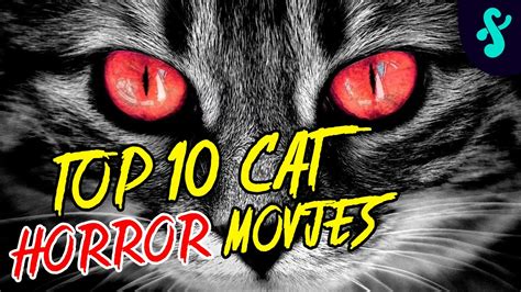 🍿 Top 10 Most Scary Cat Horror Movies | Furry Feline Facts - YouTube