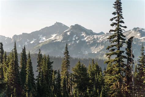 Hiking the Skyline Trail Loop in Mt. Rainier: All You Need to Know