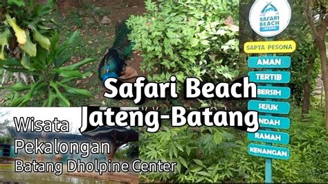 Wisata Safari Beach Batang-Pekalongan - YouTube