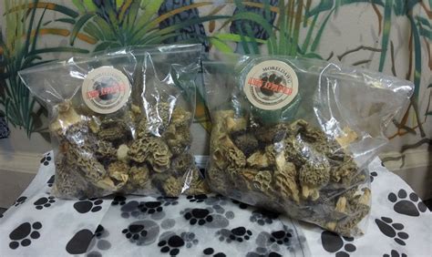 Dried Morel Mushrooms - Moreldawg Mushrooms, LLC