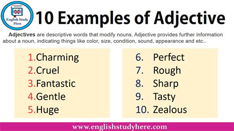 10 Examples of Adjective - English Study Here