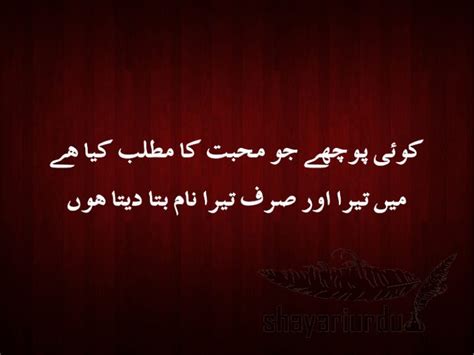 Koi Pooche Jo Mohabbat Ka Matlab Kya Hai - Urdu Poetry