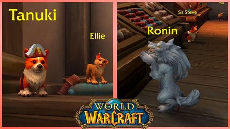 Exploring the Dog Shop in Boralus! 🐶 [World of Warcraft] | World of warcraft, Warcraft, Dog shop