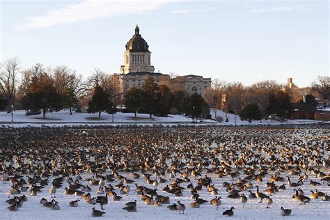 Pierre South Dakota; US - Viewing Picture - A Gardeners Forum