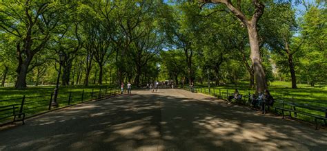 160 Years of Central Park: A Brief History | Central Park Conservancy